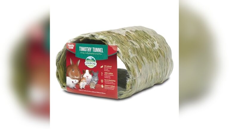 Best Hutches for Guinea Pigs: Top Picks for Safe Homes