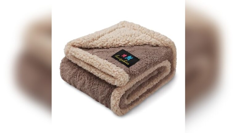 Best Lovesac Fabric for Pets: Top Picks & Honest Review