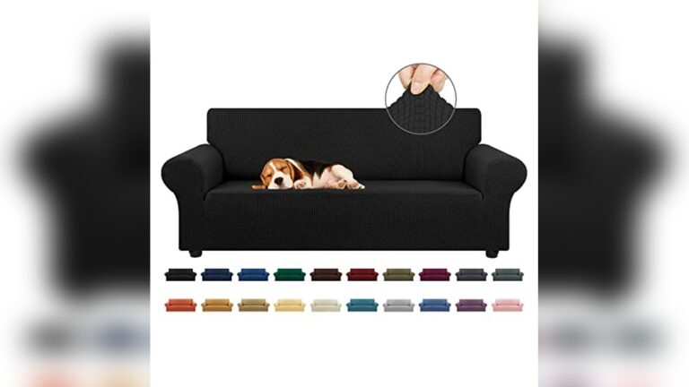 Best Pet Friendly Sofa: Top Picks for Comfort & Durability