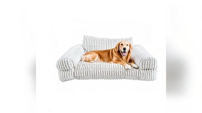Top Couches Best for Pets: Durable & Cozy Picks Reviewed