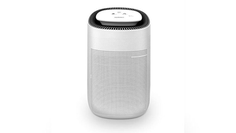 Best Air Purifier And Dehumidifier All in One: Top Picks 2024