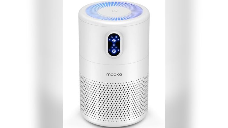 Best Air Purifier for Kitchen Odors: Top Picks & Reviews 2024