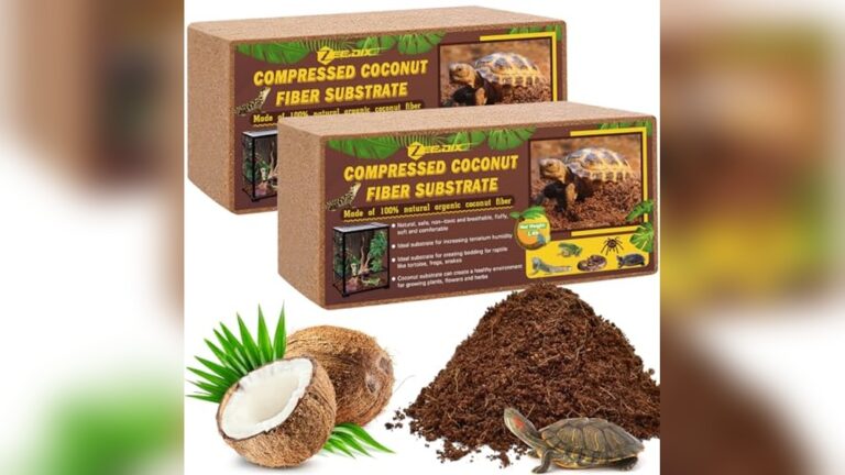 Best Bedding for Sulcata Tortoise: Top Picks for Comfort