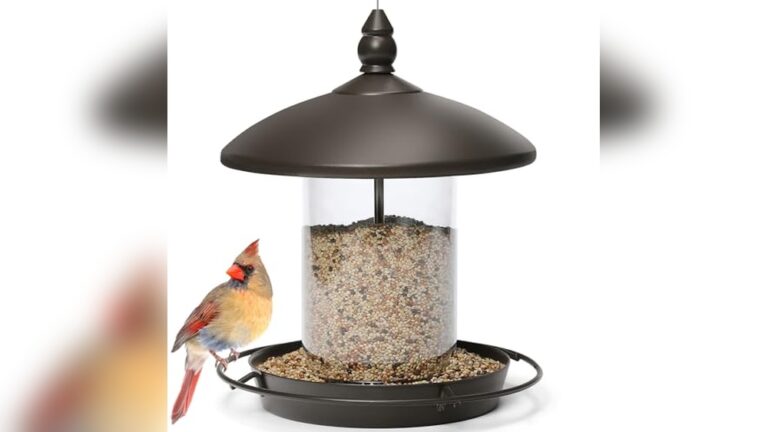 Best Bird Feeder for Backyard: Top Picks for 2024 Reviews