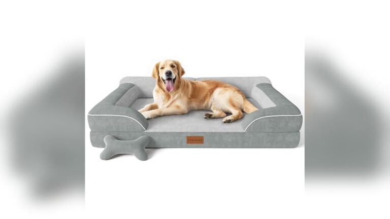 Best Cooling Bed for Dogs: Top Picks for Comfort & Relief