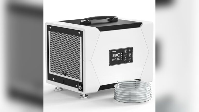Best Crawl Space Dehumidifier​ Reviews for a Dry, Healthy Home