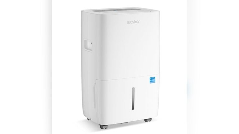 Best Dehumidifier for Basement With Drain Hose: Top Picks 2024