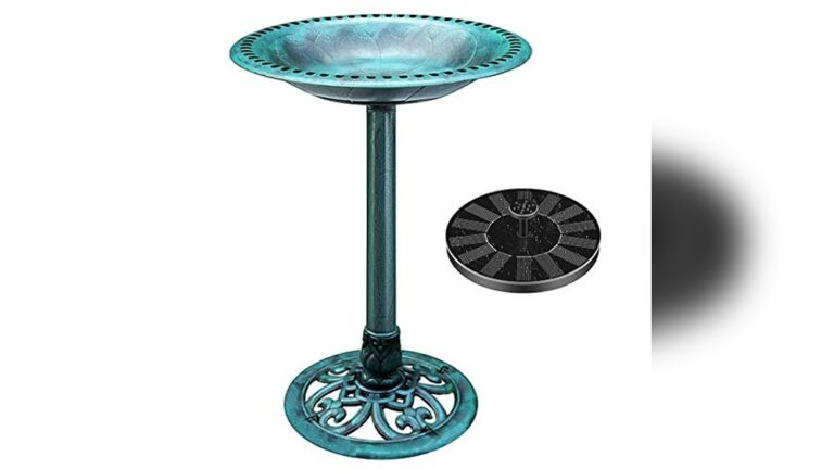 Top Solar Bird Bath Outdoor Reviews: Best Picks for Your Garden