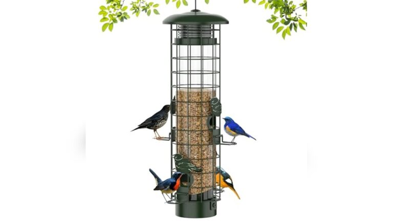 Top Squirrel-Proof Bird Feeder Review: Reliable & Easy to Use