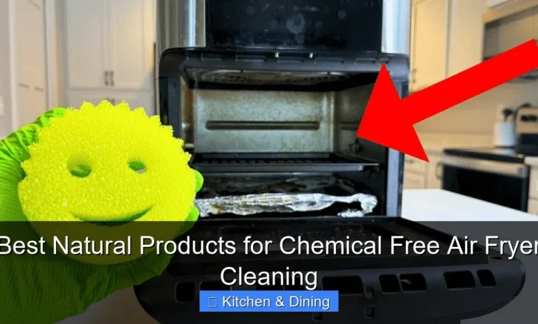 Best Natural Products for Chemical Free Air Fryer Cleaning