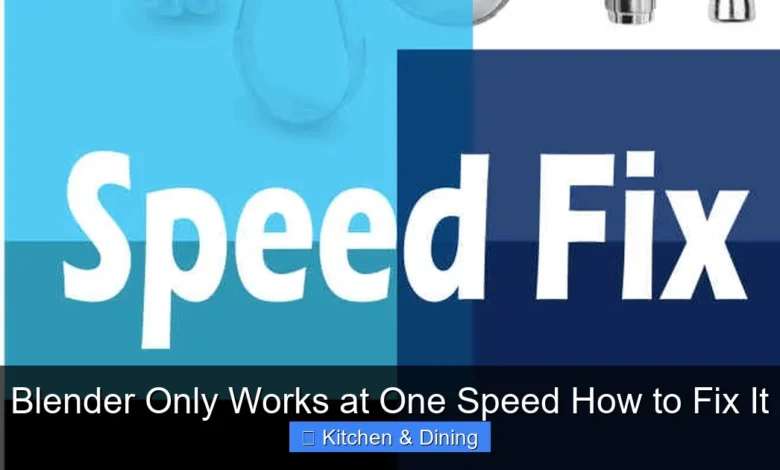 Blender Only Works at One Speed How to Fix It
