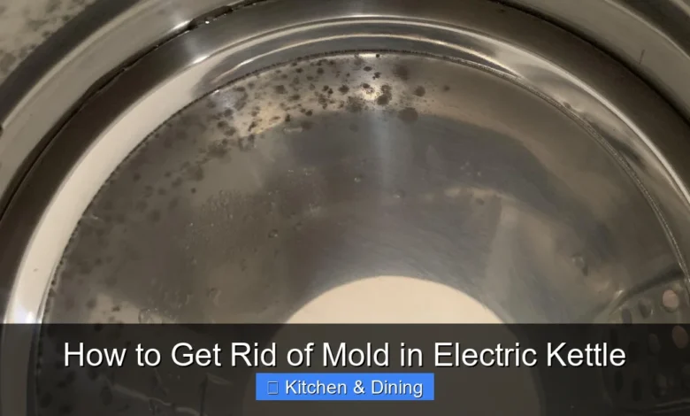 How to Get Rid of Mold in Electric Kettle
