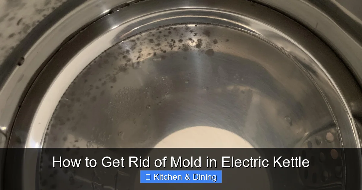 How to Get Rid of Mold in Electric Kettle