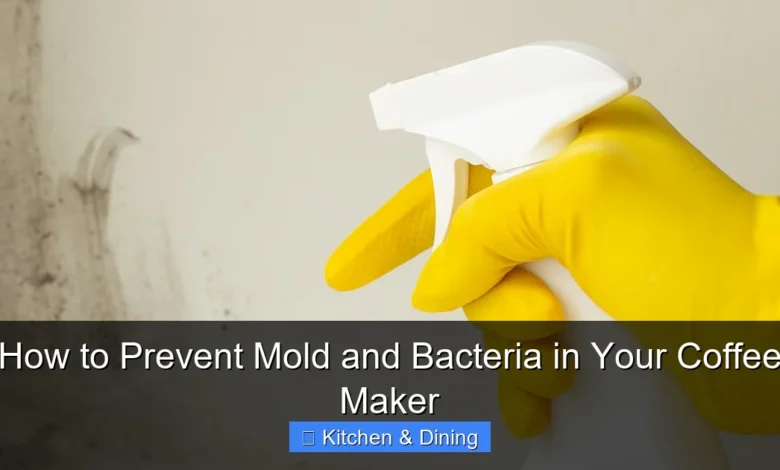How to Prevent Mold and Bacteria in Your Coffee Maker
