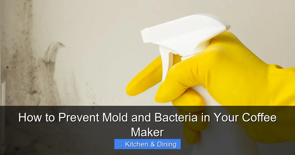 How to Prevent Mold and Bacteria in Your Coffee Maker
