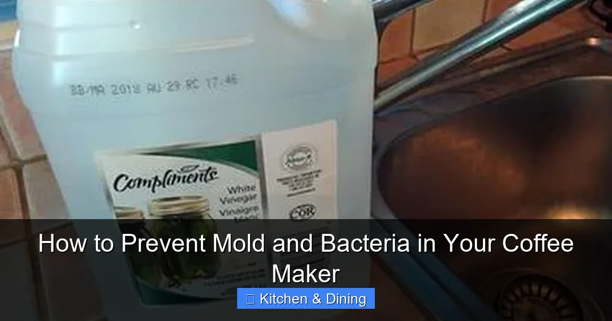 How to Prevent Mold and Bacteria in Your Coffee Maker