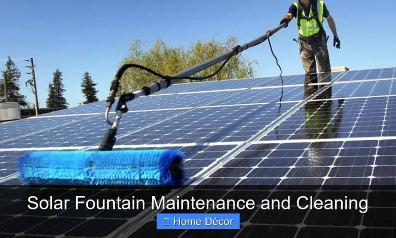 Solar Fountain Maintenance and Cleaning