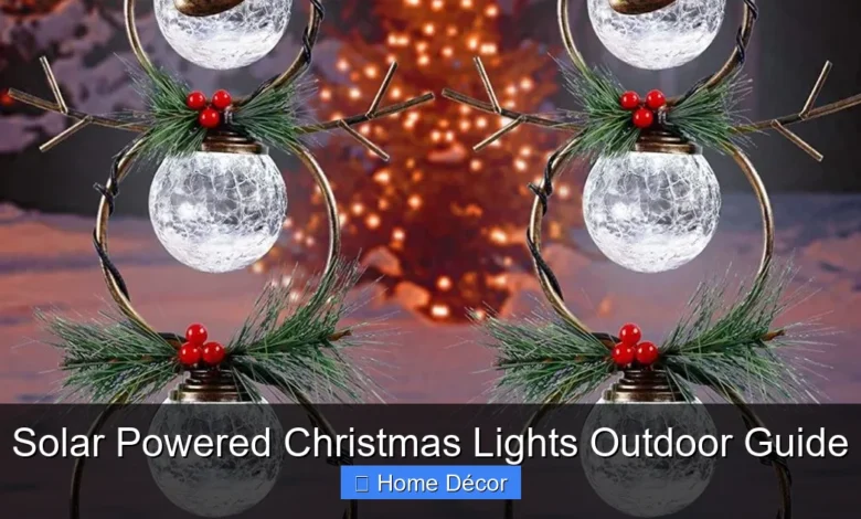 Solar Powered Christmas Lights Outdoor Guide