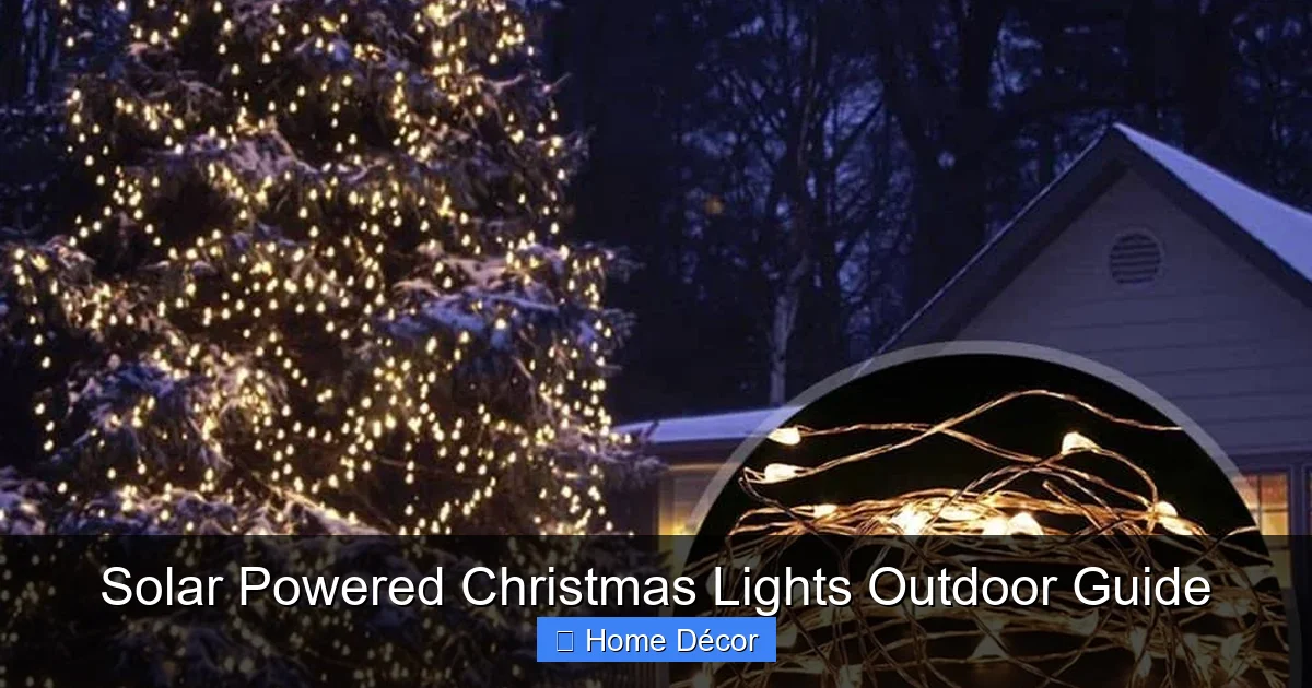 Solar Powered Christmas Lights Outdoor Guide