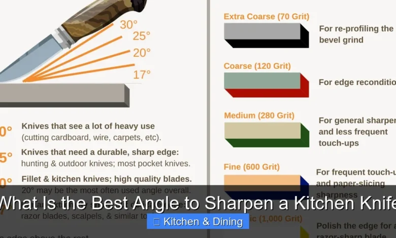What Is the Best Angle to Sharpen a Kitchen Knife
