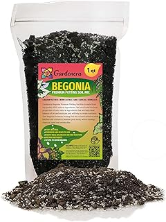 Elevate Your Begonia Gardenera's Organic Soil