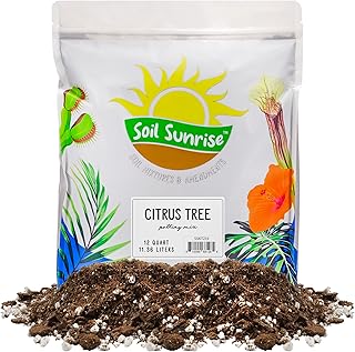 Soil Sunrise Citrus Tree Potting Mix